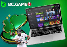 The Rise of Bc.G in the Online Gaming World 2