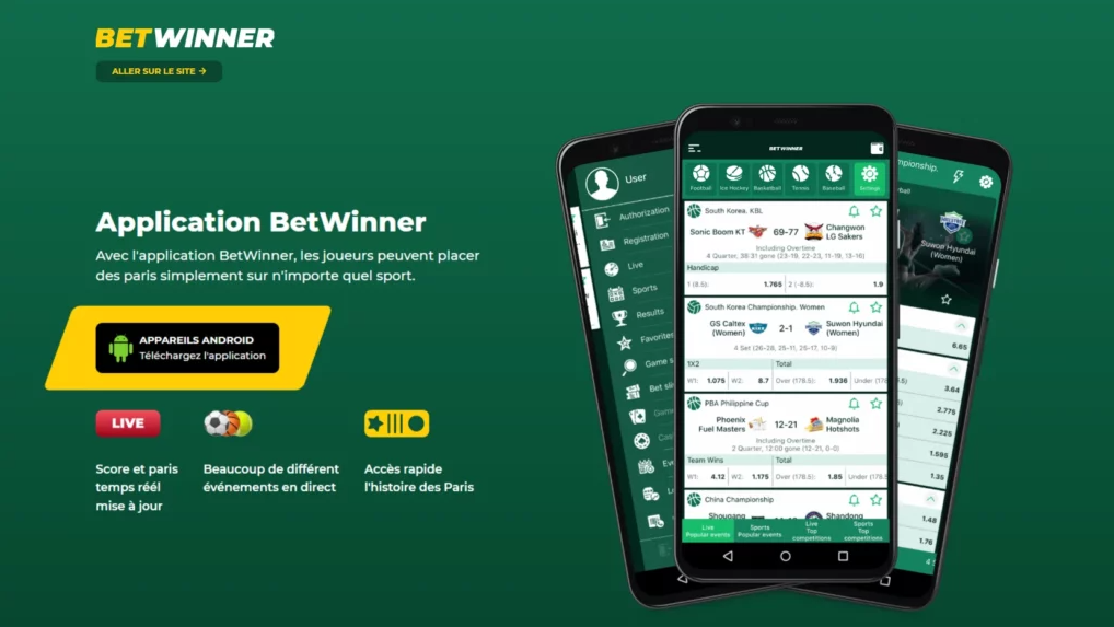 Tout ce que vous devez savoir sur Betwinner Sports Bet 13