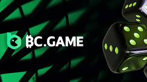 Comprehensive Guide to BC Game Support Pakistan Comprehensive Guide to BC Game Support Pakistan