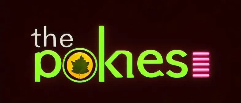 The Ultimate Guide to Gaming at thepokies The Ultimate Guide to Gaming at thepokies