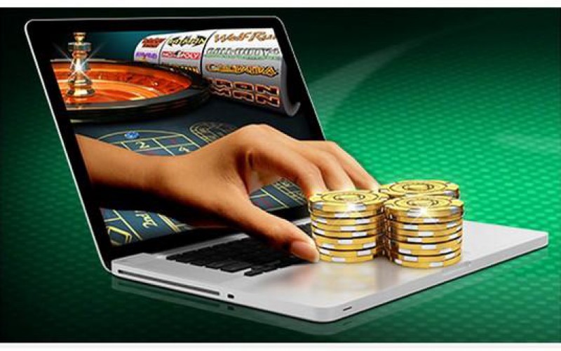 Exploring the Best Live Dealer 6
