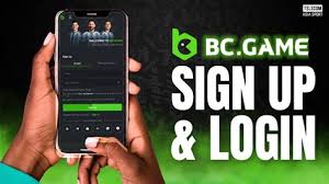 Exploring the Features and Benefits of BCGameBet
