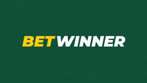 Mastering the Art of Sports Betting Strategies for Success