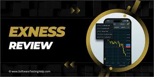 Maximize Your Trading Potential with Exness Forex Calculator Maximize Your Trading Potential with Exness Forex Calculator