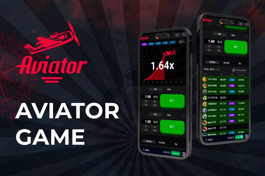Pilot Video Game on Mobile Gadgets