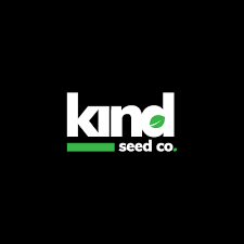 Everything You Need to Know About Weed Plant Seeds Everything You Need to Know About Weed Plant Seeds