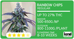 Exploring Cannabis Seeds Delaware A Comprehensive Guide